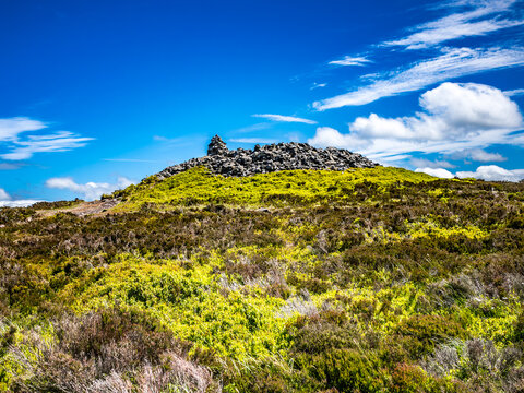 Looking towards Dove Crag, near Rothbury Northumberland