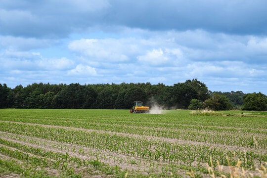 Farmer putting fertilizer in his corn fields