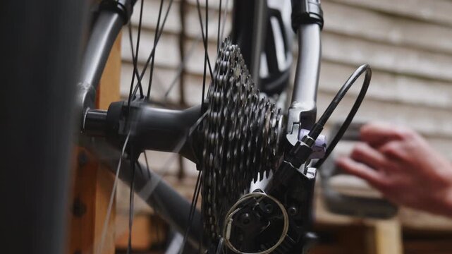 Close up of a bicycle rear cassette gears and chain on a bike wheel