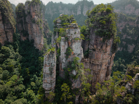 Close-up of vertical sandstone pillars in Zhangjiajie