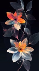 Fototapeta premium Translucent Pink and Orange Flowers with Ethereal Glow on Dark Background for Abstract Fantasy Design 