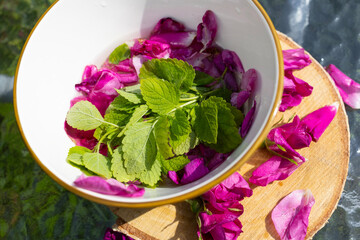 Fresh mint leaf and pink rose petal in white bowl for organic skincare, holistic spa wellness concept © Светлана Высокос