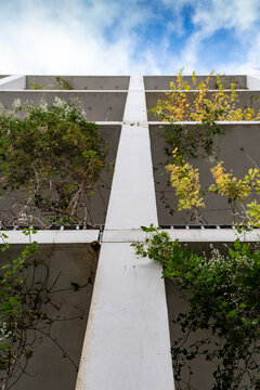 Nature in residential building