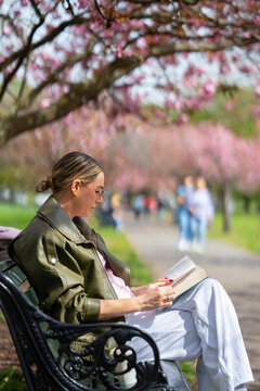 Reading book under cherry blossom trees