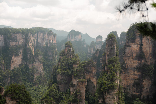 Zhangjiajie sandstone pillars with pine tree framing