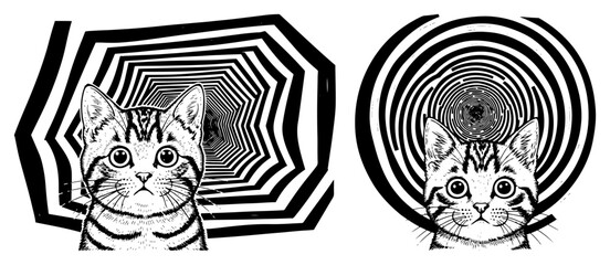 Fototapeta premium Cats staring through optical illusion spiral and hexagonal tunnels in black and white ink style