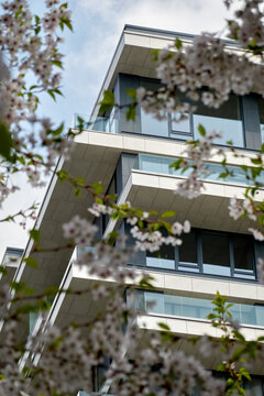 Modern apartment building through cherry blossom