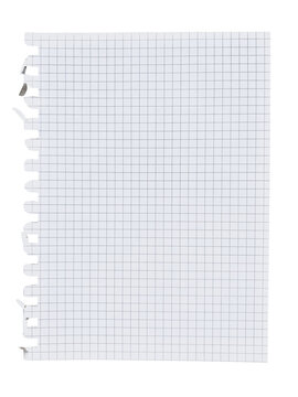 Torn blank grid paper sheet from a spiral notebook on a transparent background