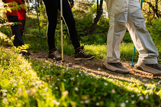 People hiking forest trail using trekking poles