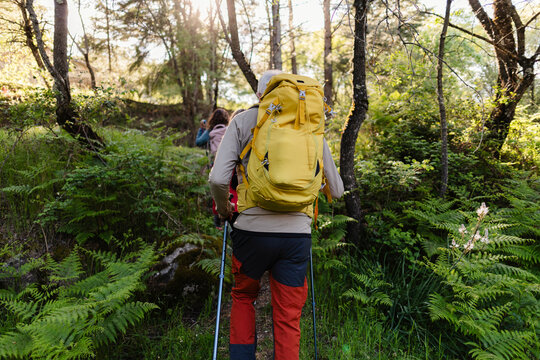 Backpackers hiking through forest during spring adventure