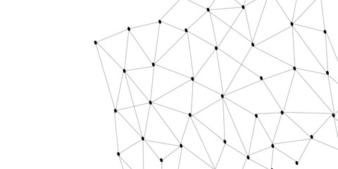 Abstract Network Visualization with Interconnected Nodes and Polygonal Mesh, Modern technology concept. Polygonal structure. © Liza