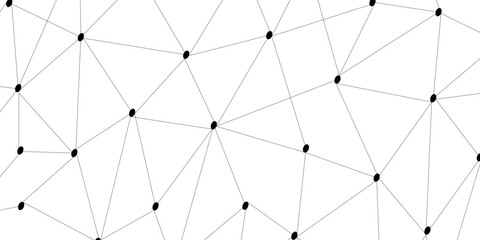 Abstract Network Visualization with Interconnected Nodes and Polygonal Mesh, Modern technology concept. Polygonal structure. © Liza