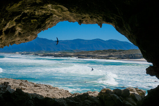 Klipgat caves in De kelders in walker bay nature reserve is a protected area and has majestic views of Atlantic ocean