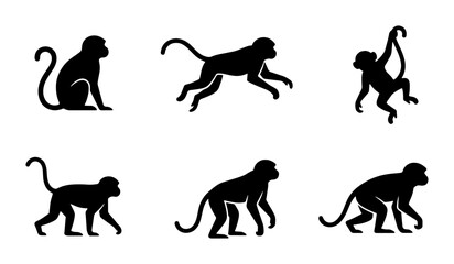 Monkey Silhouettes Set, Primate Poses Collection, Jungle Animal Vector Icons © Tanzina