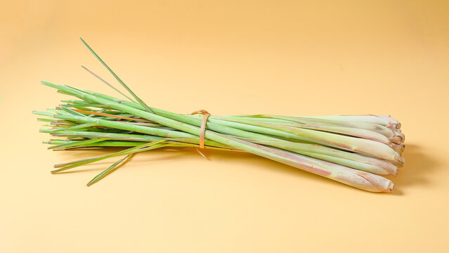 lemon grass with leaf  on color background.