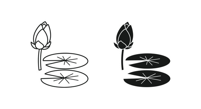 Simple water lily pads with leaves and seeds