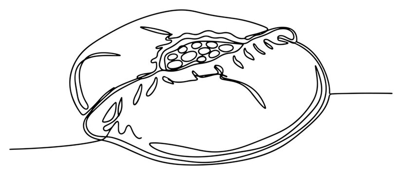 Stuffed calzone pastry with filling shown in continuous line art style