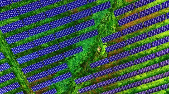 Morning light on geometric solar panel pattern, in a top down abstract drone view of parallel blue rows on a vivid green grass field.