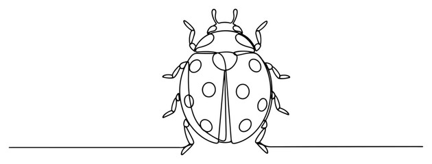 Ladybug beetle insect top view in continuous line art style © Alicja
