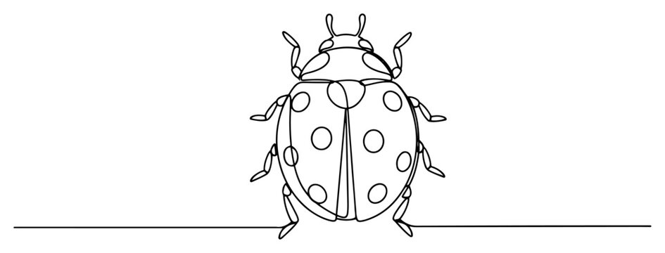 Ladybug beetle insect top view in continuous line art style