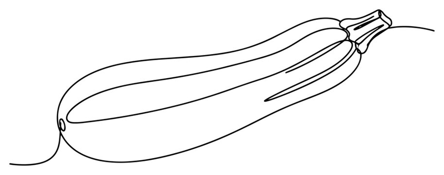 Zucchini fresh green courgette vegetable drawn in minimalist single continuous line art style
