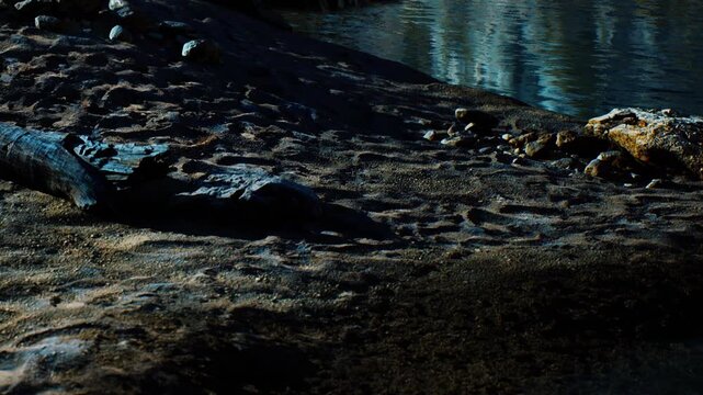 The scene shows a riverbank with rocks and water at twilight. The light is dim, shining on the stones and the water. The setting is quiet and natural, reflecting the time of day.