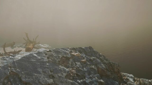 A rocky shoreline extends into the lake as fog covers the scene. Water is visible, and the sun may be rising. The atmosphere feels damp and misty.