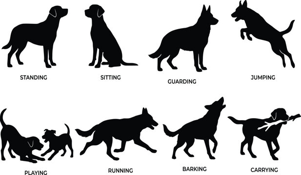 Dog behavior vector silhouette icon set featuring black shapes of puppy playing running barking standing and jumping
