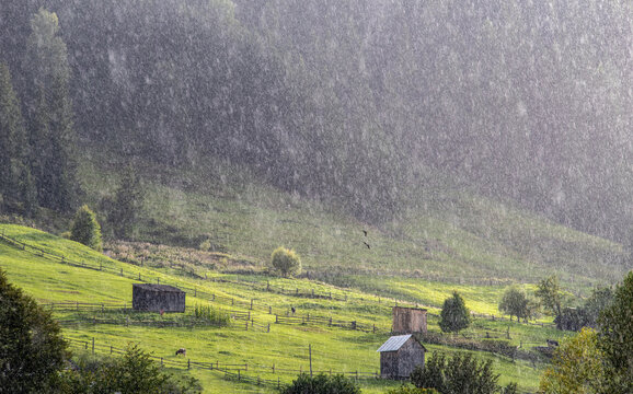 A summer rain shower sweeps across a foothill pasture, where green meadows, rustic barns, and grazing animals glow in soft sunlight.
