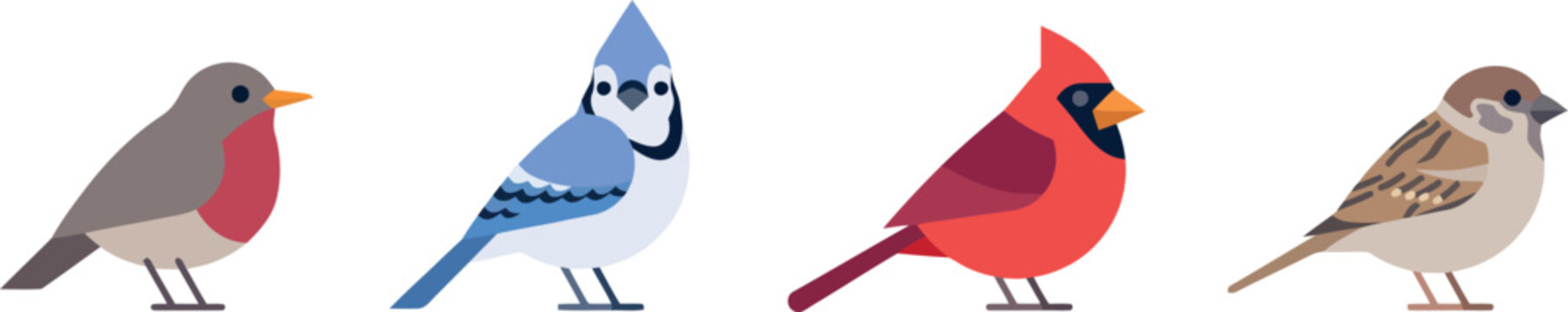 North American Songbird Vector Set Featuring Robin Blue Jay Red Cardinal and Sparrow Icons for Backyard Nature and Education Designs