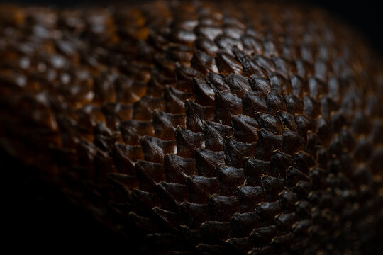 Macro SALAK texture