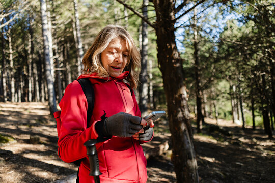 Woman hiking using mobile phone for navigation in forest