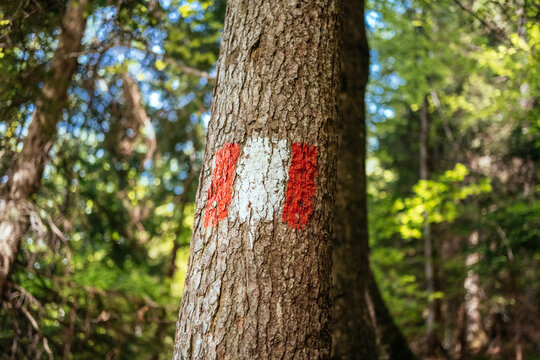 Alpine Trail Marker