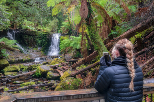 Horseshoe falls inside  Mount Field National Park Tasmania 