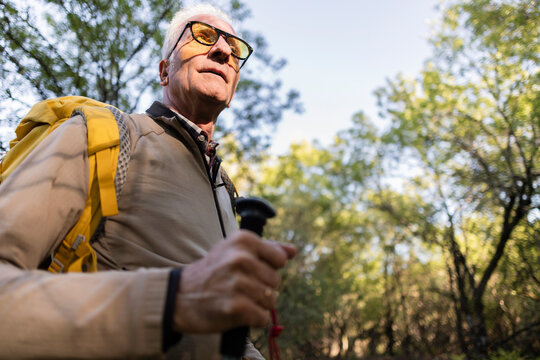 Senior man hiking in forest enjoying active lifestyle
