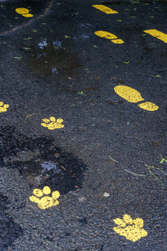 Footprints on the floor
