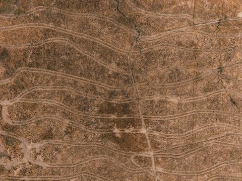 Abstract Aerial Pattern of Marsh Grass