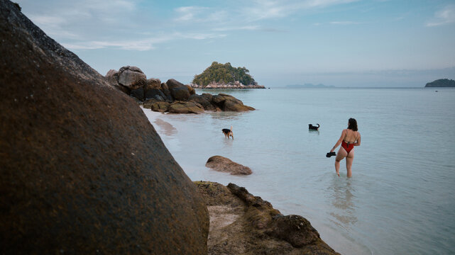 Woman walks in water with dogs on beach near island in morning