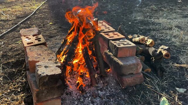 Small campfire with wooden sticks brightly burn at sunny summer day. Gentle flames and glowing embers create warm vibrant atmosphere. The scene conveys outdoor adventure and elemental beauty of fire