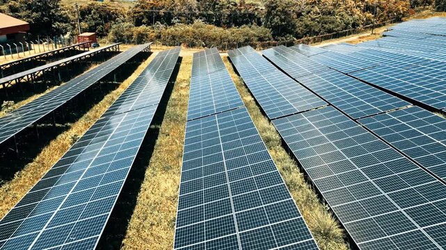 Aerial view of a large solar panel array surrounded by dense tropical trees and coastal landscapes under bright sunlight in Guanaja, Bay Islands Department, Honduras.