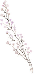 Watercolor light pink wildflowers, spring floral isolated illustration for stationery and greeting cards © katrinshine