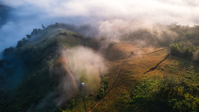 Misty Mountain Farmland Forest at Sunrise with Low Clouds Rolling Over Green Hills in Countryside