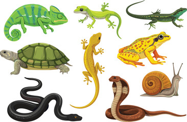 Reptile and amphibian vector illustration set with various wild lizards snakes turtle frog chameleon and snail for nature wildlife design. © IVY QUEEN