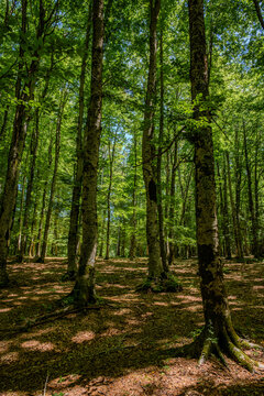 Campitello di Sepino. Mountain landscape of Molise.