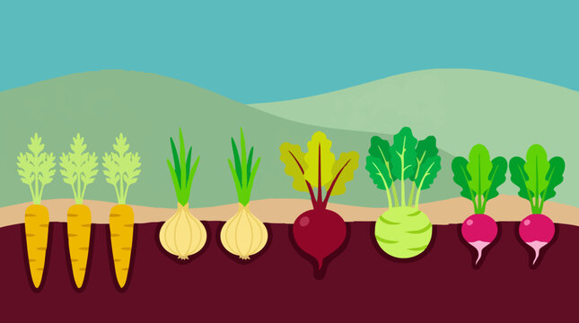 Cartoon illustration of various root vegetables growing in a garden
