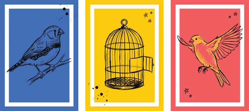Vintage Sketch Bird Poster Set Featuring Zebra Finch on Branch Open Wire Cage and Flying Canary on Colorful Block Backgrounds