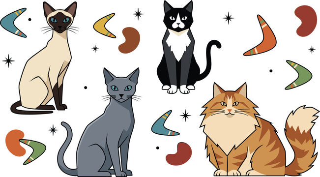 Retro Mid Century Modern Cat Breed Vector Set Featuring Siamese, Tuxedo, Russian Blue, and Fluffy Ginger Cats with Abstract Boomerang Shapes