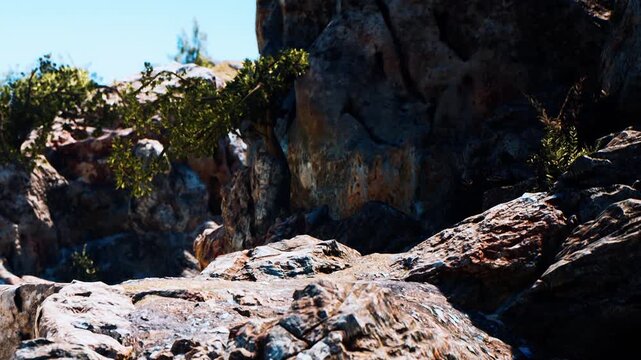 Rocks covered with plants are shown under a bright and clear sky. The sunlight highlights the rough texture of the stones. Natural features dominate the scene.