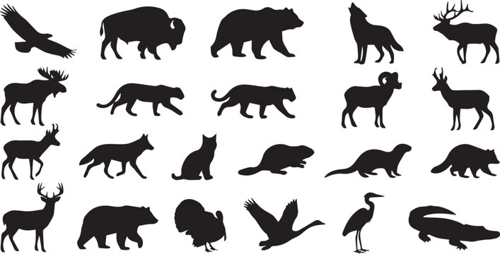 Collection of various wild animal silhouettes including bears, wolves, deer, birds, and reptiles isolated on a white background, for nature and, wildlife projects