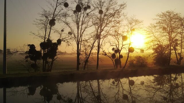 Aerial view of a golden sunrise over a calm canal lined with trees and mistletoe reflecting in the water during a misty morning in Nevers, Bourgogne-Franche-Comte, France.